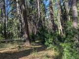 00 Mariposa Drive - Photo 32