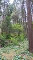 00 Mariposa Drive - Photo 38