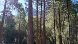 1693 Coy Flat Drive - Photo 10