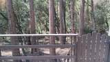 1693 Coy Flat Drive - Photo 22