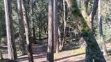 1693 Coy Flat Drive - Photo 30