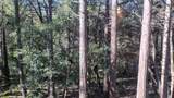 1693 Coy Flat Drive - Photo 48