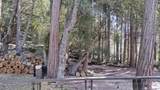 1693 Coy Flat Drive - Photo 58