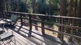 1693 Coy Flat Drive - Photo 61