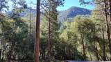 1693 Coy Flat Drive - Photo 62