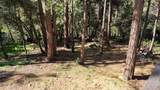 1693 Coy Flat Drive - Photo 63