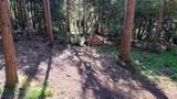 1693 Coy Flat Drive - Photo 64