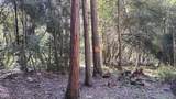 1693 Coy Flat Drive - Photo 66