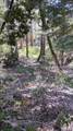 1693 Coy Flat Drive - Photo 67