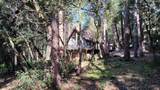 1693 Coy Flat Drive - Photo 69