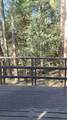1693 Coy Flat Drive - Photo 7