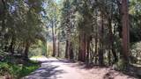 1693 Coy Flat Drive - Photo 79