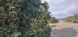 00 Avenue 314 - Photo 1