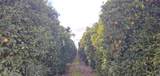 00 Avenue 314 - Photo 2