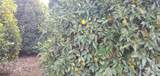 00 Avenue 314 - Photo 4