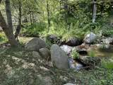 44127 Pine Flat Drive - Photo 4