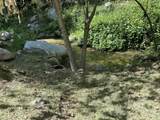 44127 Pine Flat Drive - Photo 44