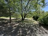44127 Pine Flat Drive - Photo 52