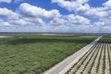  Kimberlina Road - Photo 4