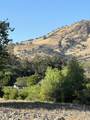 0 Live Oak Drive - Photo 7