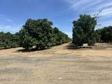  Highway 65 Citrus Ranch Highway - Photo 10