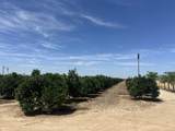  Highway 65 Citrus Ranch Highway - Photo 12