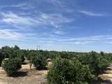  Highway 65 Citrus Ranch Highway - Photo 13