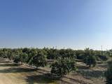  Highway 65 Citrus Ranch Highway - Photo 2