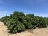  Highway 65 Citrus Ranch Highway - Photo 8