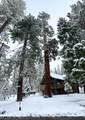 57603 Crest Drive - Photo 44