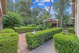 1409 Beverly Drive - Photo 102