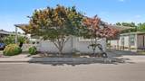 5031-#95 La Vida Avenue - Photo 7