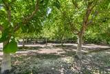 31593 Rd 144 - Photo 45