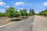 31593 Rd 144 - Photo 47