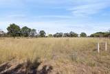 30745 Dorsey Drive - Photo 59