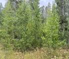 57525 Ponderosa Drive - Photo 2