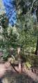 57525 Ponderosa Drive - Photo 5
