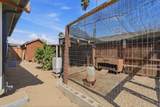 428 A Street - Photo 34