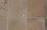  Utica Avenue - Photo 9
