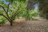 23134 Round Valley Drive - Photo 6