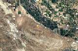  Buttonwillow Drive - Photo 11