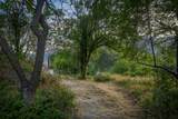 41518 Sierra Drive - Photo 6