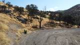 38938 Pepperweed Rd - Photo 14