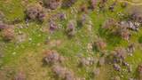 38938 Pepperweed Rd - Photo 17
