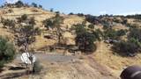 38938 Pepperweed Rd - Photo 3