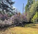 46967 Blue Ridge Drive - Photo 13