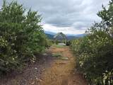 46967 Blue Ridge Drive - Photo 18