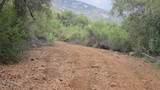 46967 Blue Ridge Drive - Photo 20