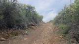 46967 Blue Ridge Drive - Photo 21