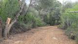46967 Blue Ridge Drive - Photo 24